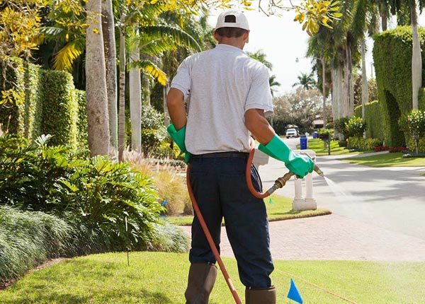 About Campo CO Pest Control